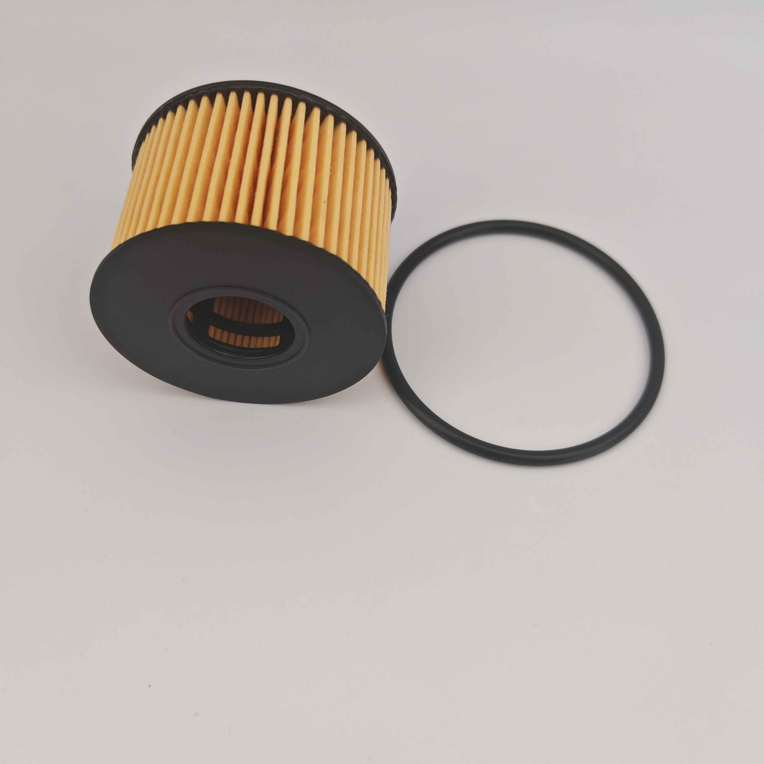 فیلتر روغن MS1-6744-AA OX1243D FOH5013 برای JMC